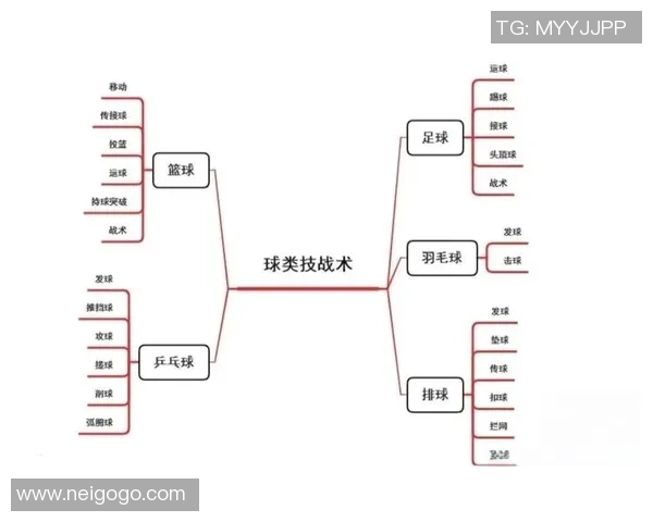 深入探讨上海篮球队技术表现的数据分析与战术优化研究