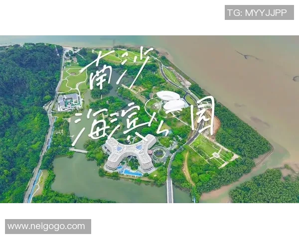 深圳攀岩队的转型之路与创新发展探索全景解析